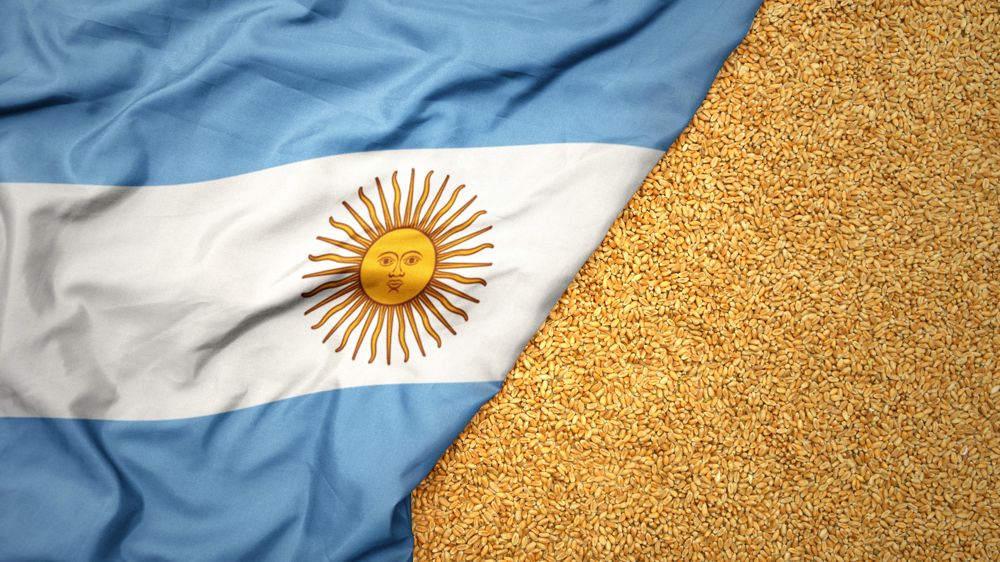 Lundi 22 septembre, l'Argentine a annoncé la suppression des taxes sur les exportations de céréales et d'oléagineux, jusque fin octobre