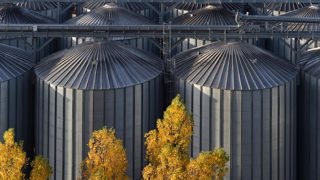 Antoine Hacard, président de la section des métiers du grain de La Coopération Agricole, a appelé le 24 septembre 2025 à un « choc d’investissement » pour les coopératives céréalières. Antoine Hacard, président de la section des métiers du grain de La Coopération Agricole, a appelé le 24 septembre 2025 à un « choc d’investissement » pour les coopératives céréalières.