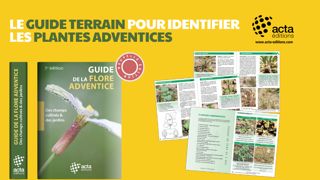 L’Acta publie la 5ème édition de son guide de la flore adventice