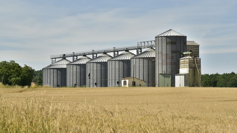 Silos de stockage de grains