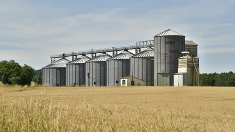 Les coopératives de collecte-appro font face à « un risque de trésorerie, un risque de solvabilité des adhérents et un risque de performance opérationnelle », souligne Antoine Hacard, président de la Coopération agricole Métiers du grain