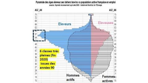 Pyramide des âges des éleveurs et éleveuses de bovins lait