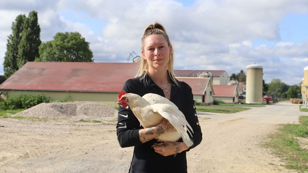À La Ferme des alouettes de Lapeyrouse (Ain), Anne-Laure Buatier produit des œufs multicolores grâce aux poules de quatre races rares.