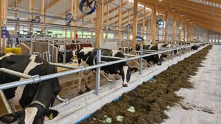 La nouvelle structure a été inaugurée le 16 septembre par Paul Löfgren, directeur général du groupe DeLaval. La nouvelle structure a été inaugurée le 16 septembre par Paul Löfgren, directeur général du groupe DeLaval.