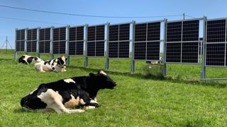 Les deux partenaires visent des projets de 8MW, soit 10 à 12 ha, sur des prairies en Bretagne et en Loire-Atlantique. Les deux partenaires visent des projets de 8MW, soit 10 à 12 ha, sur des prairies en Bretagne et en Loire-Atlantique.