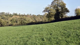 En France, le mois de septembre 2025 est le premier depuis mai à présenter une pousse de l'herbe excédentaire. En France, le mois de septembre 2025 est le premier depuis mai à présenter une pousse de l'herbe excédentaire.