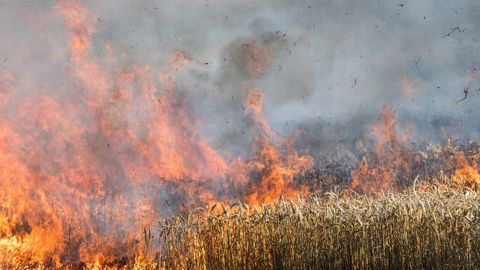 200 ha de cultures ont été détruites cet été en Seine-et-Marne par le feu.