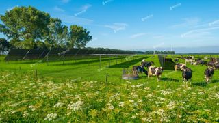 Appuyez-vous sur une équipe d'agronomes pour votre projet agrivoltaïque