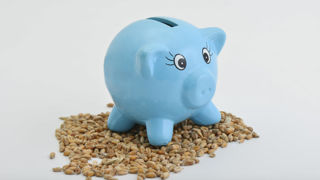 Ces montants servent de base pour le calcul des acomptes sur les aides directes, dont le versement est prévu pour la mi-octobre. Ces montants servent de base pour le calcul des acomptes sur les aides directes, dont le versement est prévu pour la mi-octobre.