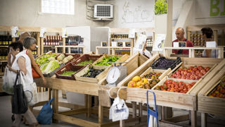 La vente directe de produits bio a augmenté de 8,8 % au premier semestre de 2025. La vente directe de produits bio a augmenté de 8,8 % au premier semestre de 2025.