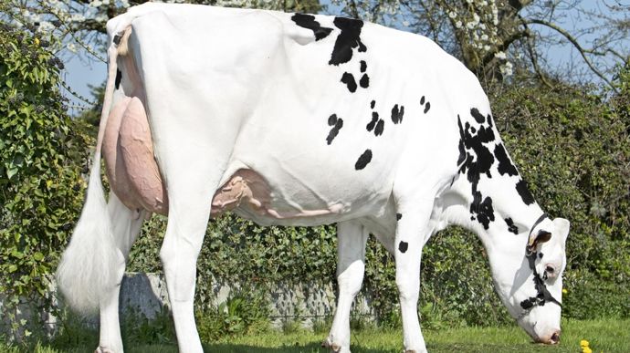 La prochaine édition de la Vente de l’Orne se tiendra le 24 octobre 2025, dans le cadre du National Holstein à Alençon.