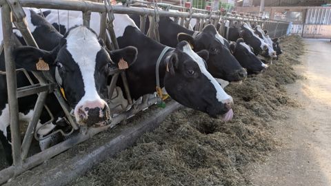 Une meilleure répartition de la valeur  permettrait aux éleveurs d'investir dans leur système d'exploitation pour produire plus de matière grasse, selon la FNPL. Une meilleure répartition de la valeur  permettrait aux éleveurs d'investir dans leur système d'exploitation pour produire plus de matière grasse, selon la FNPL.