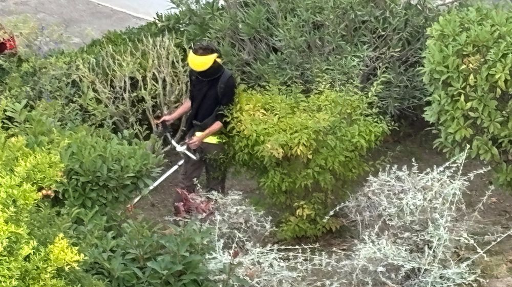 Le contexte complexe et mouvant rend le quotidien des jardiniers difficile, oblige à faire preuve de d’agilité et à acquérir de nouvelles compétences dans tous les domaines.