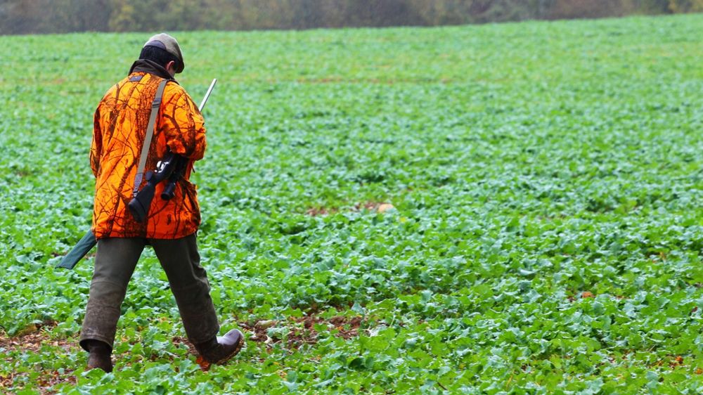 Le bail de chasse permet au propriétaire d'autoriser un preneur à chasser sur ses terres.