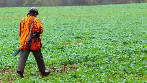Le bail de chasse permet au propriétaire d'autoriser un preneur à chasser sur ses terres.