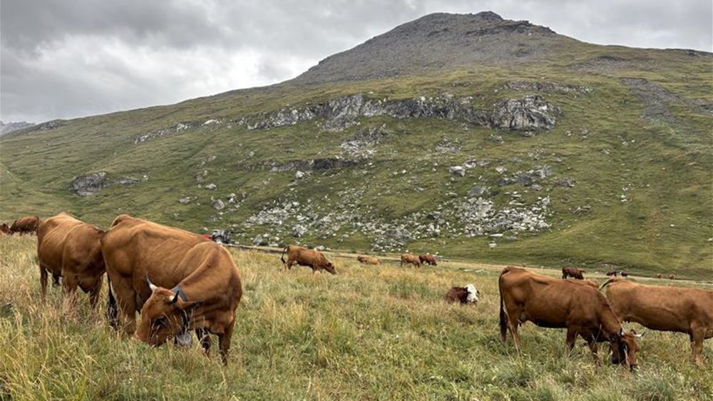 A compter de ce vendredi, 63 communes ne seront plus soumises à la zone de surveillance dans les Savoies.