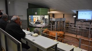 Situé au cœur du Boischaut, le cadran compte un millier d’éleveurs adhérents pour une centaine d’acheteurs. Situé au cœur du Boischaut, le cadran compte un millier d’éleveurs adhérents pour une centaine d’acheteurs.