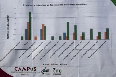 Résultats notation jaunisse Résultats notation jaunisse