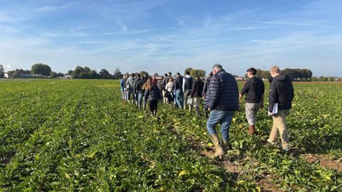 Le Campus agro-environnemental 62 situé à Tilloy-lès-Mofflaines est l'une des 51 fermes pilotes d'expérimentation du PNRI-C (consolidé) pour la campagne 2025.