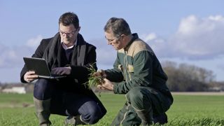 Avec la loi Duplomb, l'obligation de séparation de la vente et du conseil demeure pour les fabricants de produits phytosanitaires. Avec la loi Duplomb, l'obligation de séparation de la vente et du conseil demeure pour les fabricants de produits phytosanitaires.