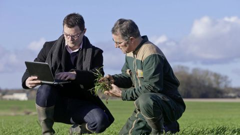 Avec la loi Duplomb, l'obligation de séparation de la vente et du conseil demeure pour les fabricants de produits phytosanitaires. Avec la loi Duplomb, l'obligation de séparation de la vente et du conseil demeure pour les fabricants de produits phytosanitaires.