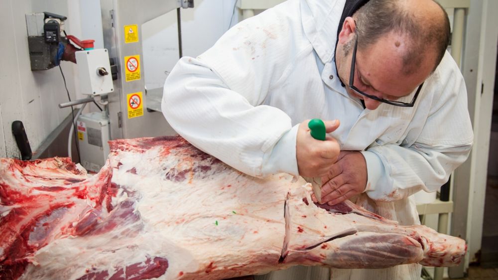 Boucher qui découpe de la viande bovine Boucher qui découpe de la viande bovine