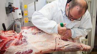 Les abatteurs doivent parvenir à répercuter les hausses de coûts de production sur l'amont de la filière. Les abatteurs doivent parvenir à répercuter les hausses de coûts de production sur l'amont de la filière.
