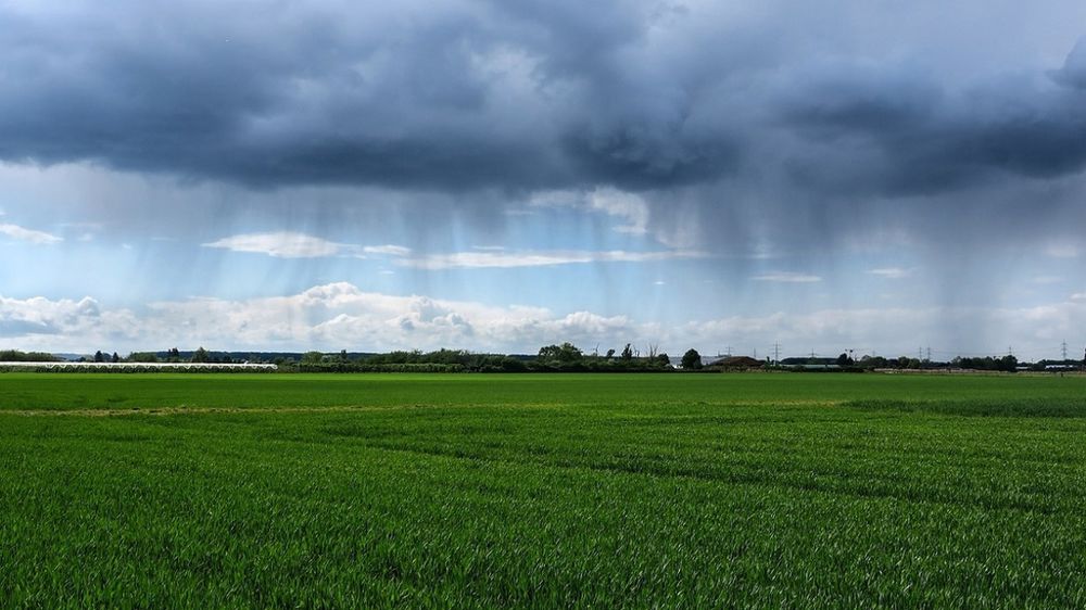 Ciel gris surplombant un champ.