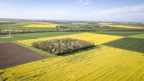 Levée de bouclier de la filière biocarburants contre la hausse de la fiscalité Levée de bouclier de la filière biocarburants contre la hausse de la fiscalité