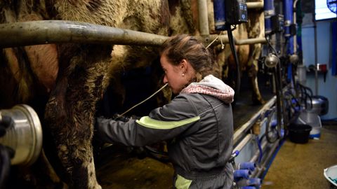 La Confédération paysanne revendique « un véritable statut unique agricole, un congé de maternité effectif pour toutes, et des déclinaisons de l’arrêt endométriose et grossesses pathologiques pour les paysannes ».