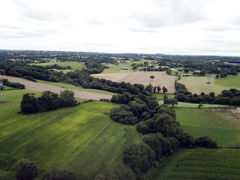 Pour pouvoir obtenir un dédommagement, le bailleur doit attendre l’expiration du bail.