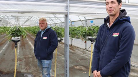 Pour Anthony Perrot (à gauche) et Grégoire Cote (à droite), l’appui de la coopérative Sicoly a permis de se lancer sereinement. Pour Anthony Perrot (à gauche) et Grégoire Cote (à droite), l’appui de la coopérative Sicoly a permis de se lancer sereinement.