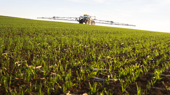 Composé d’aclonifène (500 g/l) et de diflufénican (100 g/l), Mateno Duo, de Bayer, est homologué en prélevée ou postlevée précoce.