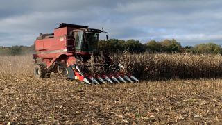 En France, le rendement du maïs grain est pour l'heure estimé à 88,5 q/ha selon Arvalis, contre 117 q/ha aux États-Unis. En France, le rendement du maïs grain est pour l'heure estimé à 88,5 q/ha selon Arvalis, contre 117 q/ha aux États-Unis.