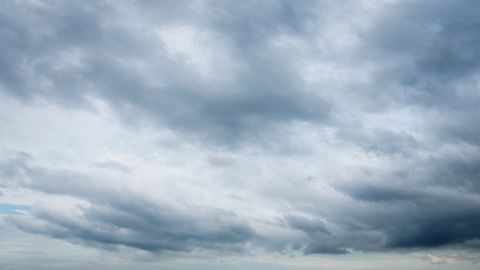 Le retour des pluies devraient favoriser les cultures françaises.