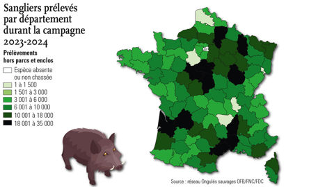 carte des prélèvements de sangliers carte des prélèvements de sangliers
