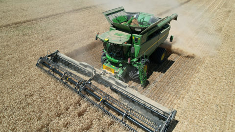 Le CIC estime désormais la production mondiale de blé à 827 millions de tonnes pour la campagne de commercialisation 2025-2026.