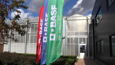 D'ici à dix ans, BASF mise, entre autres, sur le lancement de ses blés hybrides pour faire progresser son chiffres d'affaires.