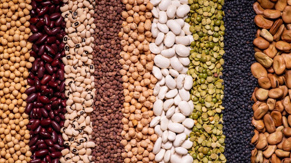 Légumes secs Légumes secs