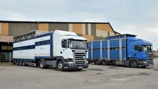 Le 18 octobre dernier, la Ministre de l'agriculture suspendait les exportations de bovins vif jusqu’au 4 novembre. Le 18 octobre dernier, la Ministre de l'agriculture suspendait les exportations de bovins vif jusqu’au 4 novembre.