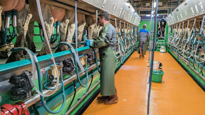 Le prix du lait européen a augmenté en août