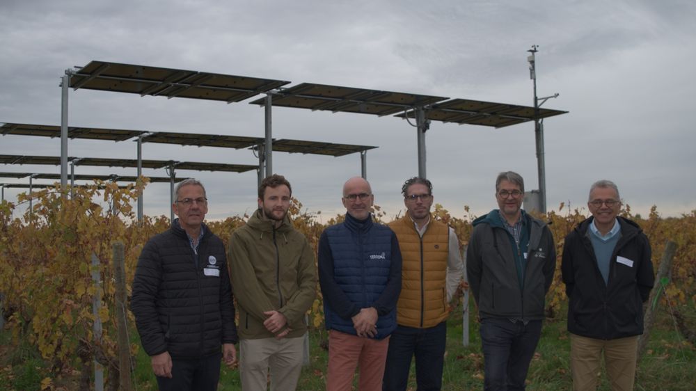 Pour ce projet, Terrena travaille en partenariat notamment avec l’IFV et la société Altarea énergies renouvelables. Pour ce projet, Terrena travaille en partenariat notamment avec l’IFV et la société Altarea énergies renouvelables.