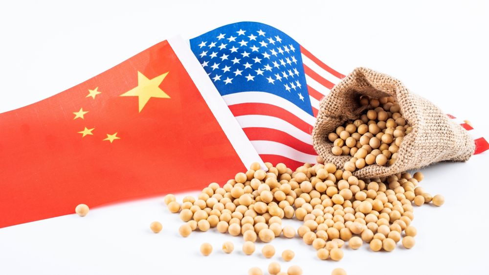 Graines de soja avec drapeau chinois et drapeau US Graines de soja avec drapeau chinois et drapeau US