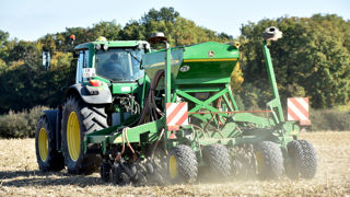 Selon FranceAgriMer, 9 % des surfaces de blés durs étaient déjà implantées sur le territoire français au 27 octobre 2025.