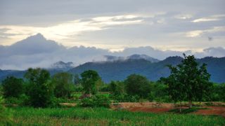 Selon le rapport de la FAO, 3,6 millions d'hectares de terres cultivées sont abandonnées chaque année en raison de leur dégradation.
