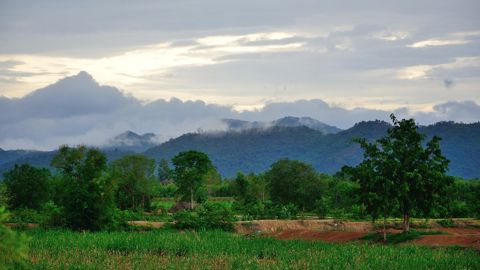 Selon le rapport de la FAO, 3,6 millions d'hectares de terres cultivées sont abandonnées chaque année en raison de leur dégradation.