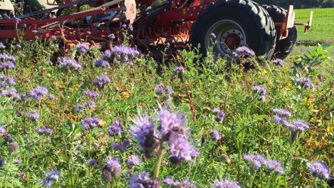 Soufflet Agriculture veut déployer l'agriculture régénératrice.