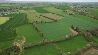 La Cour des comptes européenne appelle la Commission à aider les États membres à concevoir des écorégimes plus simples, tout en maintenant leurs ambitions environnementales.