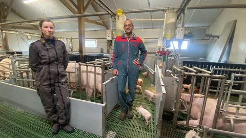 « Mon objectif était de limiter les bagarres et le stress des porcelets lors de l’entrée en nurserie », précise Emmanuel Ruelland, aux côtés de Sabrina, salariée sur l’élevage.