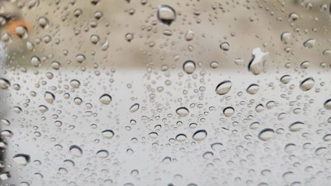 La pluie, le vent et la fraicheur sont de retour.